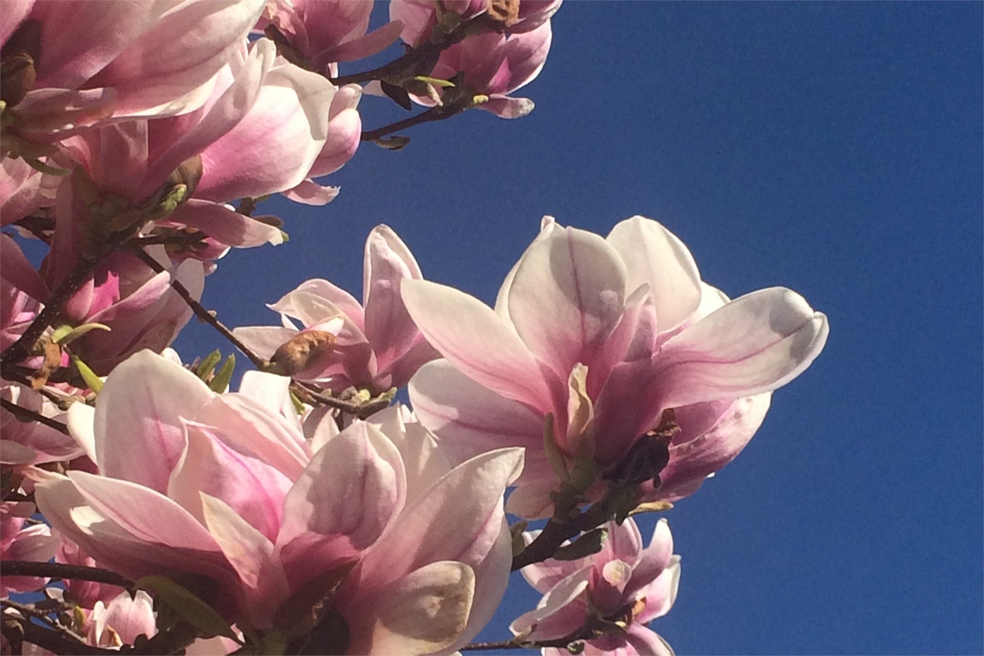 &Ouml;ffnungszeiten Ostern 2026